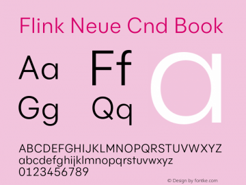 Flink Neue Cnd Book Version 2.100;Glyphs 3.1.2 (3150)图片样张