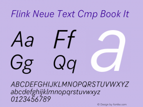 Flink Neue Text Cmp Book It Version 2.100;Glyphs 3.1.2 (3150)图片样张