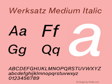 Werksatz Medium Italic Version 1.000;hotconv 1.0.109;makeotfexe 2.5.65596图片样张