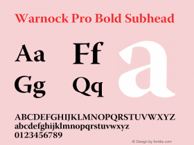 WarnockPro-BoldSubh Version 2.095;PS 2.000;hotconv 1.0.67;makeotf.lib2.5.33168图片样张
