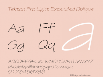 TektonPro-LightExtObl Version 2.073;PS 2.000;hotconv 1.0.70;makeotf.lib2.5.5900图片样张