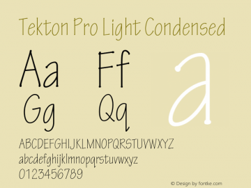 TektonPro-LightCond Version 2.073;PS 2.000;hotconv 1.0.70;makeotf.lib2.5.5900图片样张