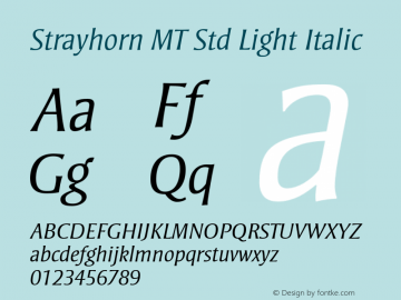 StrayhornMTStd-LightItalic Version 2.106;PS 005.000;hotconv 1.0.67;makeotf.lib2.5.33168图片样张
