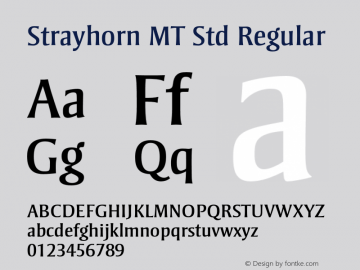 StrayhornMTStd-Regular Version 2.106;PS 005.000;hotconv 1.0.67;makeotf.lib2.5.33168图片样张