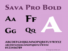 SavaPro-Bold Version 2.071;PS 2.000;hotconv 1.0.67;makeotf.lib2.5.33168图片样张