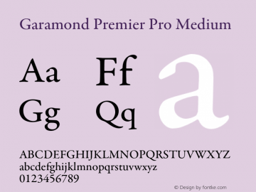 GaramondPremrPro-Med Version 2.104;PS 2.000;hotconv 1.0.70;makeotf.lib2.5.5900图片样张