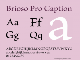 BriosoPro-Capt Version 2.100;PS 2.000;hotconv 1.0.67;makeotf.lib2.5.33168图片样张