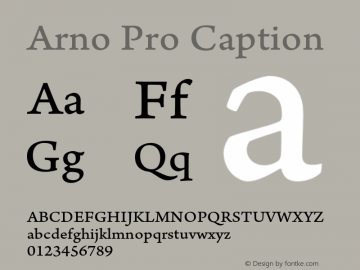 ArnoPro-Caption Version 1.084;PS 1.005;hotconv 1.0.67;makeotf.lib2.5.33168图片样张