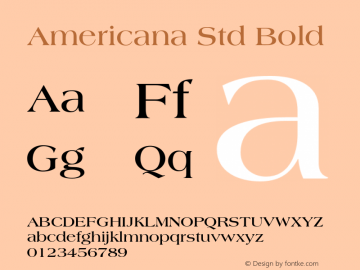 AmericanaStd-Bold Version 2.101;PS 005.000;hotconv 1.0.67;makeotf.lib2.5.33168图片样张