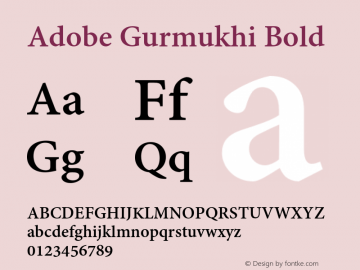 Adobe Gurmukhi Bold Version 1.010;PS 1.005;hotconv 1.0.70;makeotf.lib2.5.5900图片样张
