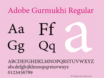 Adobe Gurmukhi Version 1.010;PS 1.005;hotconv 1.0.70;makeotf.lib2.5.5900图片样张