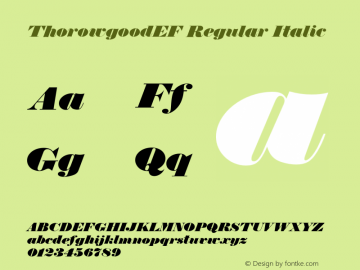 ThorowgoodEF Regular Italic 001.000 Font Sample
