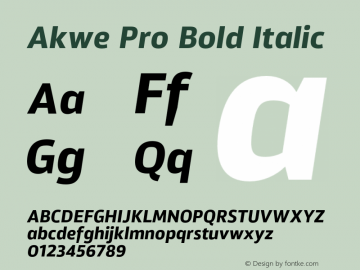 Akwe Pro Bold Italic Version 1.000;PS 001.000;hotconv 1.0.88;makeotf.lib2.5.64775图片样张
