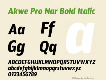 Akwe Pro Nar Bold Italic Version 1.000;PS 001.000;hotconv 1.0.88;makeotf.lib2.5.64775图片样张