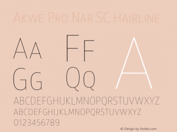 Akwe Pro Nar SC Hairline Version 1.000;PS 001.000;hotconv 1.0.88;makeotf.lib2.5.64775图片样张