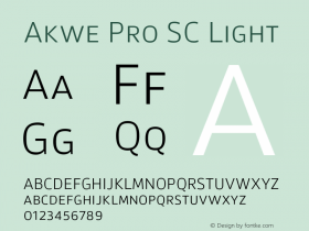 Akwe Pro SC Light Version 1.000;PS 001.000;hotconv 1.0.88;makeotf.lib2.5.64775图片样张