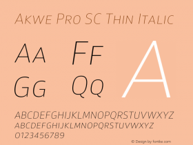 Akwe Pro SC Thin Italic Version 1.000;PS 001.000;hotconv 1.0.88;makeotf.lib2.5.64775图片样张