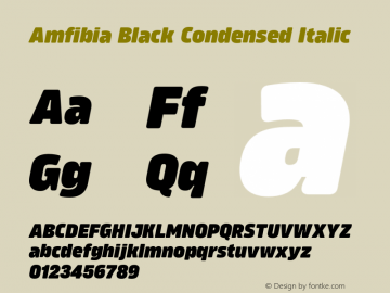 Amfibia Black Condensed Italic Version 1.000;PS 001.000;hotconv 1.0.88;makeotf.lib2.5.64775图片样张