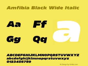 Amfibia Black Wide Italic Version 1.000;PS 001.000;hotconv 1.0.88;makeotf.lib2.5.64775图片样张