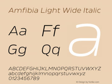 Amfibia Light Wide Italic Version 1.000;PS 001.000;hotconv 1.0.88;makeotf.lib2.5.64775图片样张