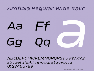 Amfibia Regular Wide Italic Version 1.000;PS 001.000;hotconv 1.0.88;makeotf.lib2.5.64775图片样张