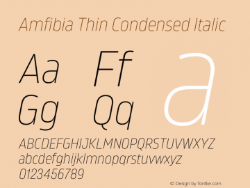 Amfibia Thin Condensed Italic Version 1.000;PS 001.000;hotconv 1.0.88;makeotf.lib2.5.64775图片样张