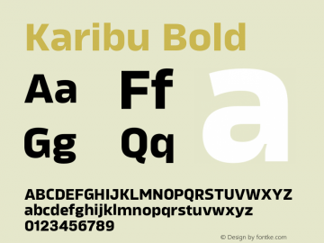 Karibu Bold Version 1.000;PS 001.000;hotconv 1.0.88;makeotf.lib2.5.64775图片样张