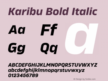 Karibu Bold Italic Version 1.000;PS 001.000;hotconv 1.0.88;makeotf.lib2.5.64775图片样张