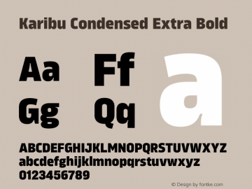 Karibu Condensed Extra Bold Version 1.000;PS 001.000;hotconv 1.0.88;makeotf.lib2.5.64775图片样张