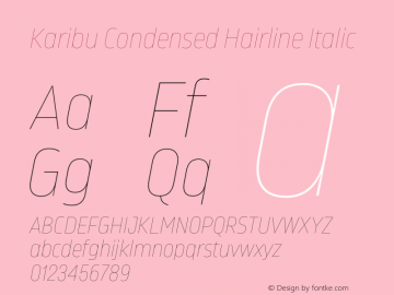 Karibu Condensed Hairline Italic Version 1.000;PS 001.000;hotconv 1.0.88;makeotf.lib2.5.64775图片样张