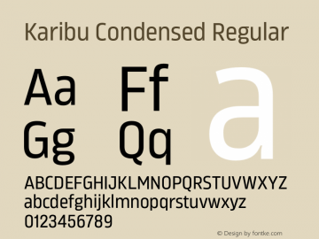 Karibu Condensed Regular Version 1.000;PS 001.000;hotconv 1.0.88;makeotf.lib2.5.64775图片样张