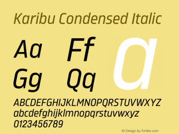 Karibu Condensed Regular Italic Version 1.000;PS 001.000;hotconv 1.0.88;makeotf.lib2.5.64775图片样张