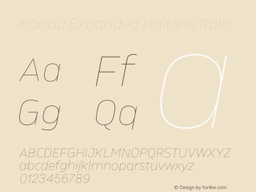 Karibu Expanded Hairline Italic Version 1.000;PS 001.000;hotconv 1.0.88;makeotf.lib2.5.64775图片样张