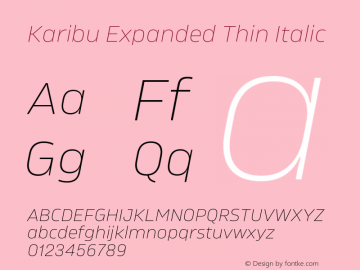 Karibu Expanded Thin Italic Version 1.000;PS 001.000;hotconv 1.0.88;makeotf.lib2.5.64775图片样张