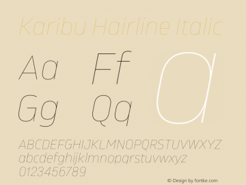 Karibu Hairline Italic Version 1.000;PS 001.000;hotconv 1.0.88;makeotf.lib2.5.64775图片样张