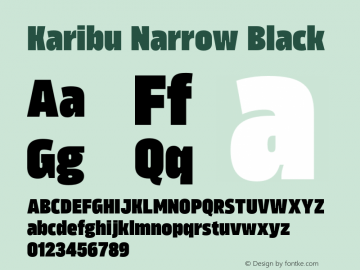 Karibu Narrow Black Version 1.000;PS 001.000;hotconv 1.0.88;makeotf.lib2.5.64775图片样张