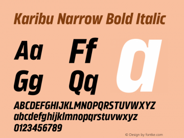 Karibu Narrow Bold Italic Version 1.000;PS 001.000;hotconv 1.0.88;makeotf.lib2.5.64775图片样张