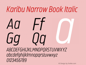 Karibu Narrow Book Italic Version 1.000;PS 001.000;hotconv 1.0.88;makeotf.lib2.5.64775图片样张