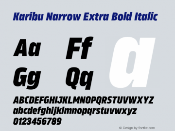 Karibu Narrow Extra Bold Italic Version 1.000;PS 001.000;hotconv 1.0.88;makeotf.lib2.5.64775图片样张