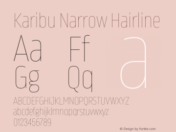 Karibu Narrow Hairline Version 1.000;PS 001.000;hotconv 1.0.88;makeotf.lib2.5.64775图片样张