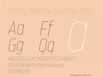 Karibu Narrow Hairline Italic Version 1.000;PS 001.000;hotconv 1.0.88;makeotf.lib2.5.64775图片样张