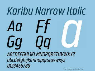 Karibu Narrow Regular Italic Version 1.000;PS 001.000;hotconv 1.0.88;makeotf.lib2.5.64775图片样张