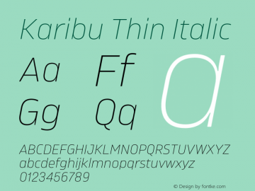Karibu Thin Italic Version 1.000;PS 001.000;hotconv 1.0.88;makeotf.lib2.5.64775图片样张