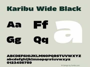 Karibu Wide Black Version 1.000;PS 001.000;hotconv 1.0.88;makeotf.lib2.5.64775图片样张