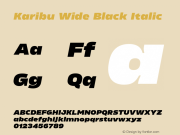 Karibu Wide Black Italic Version 1.000;PS 001.000;hotconv 1.0.88;makeotf.lib2.5.64775图片样张
