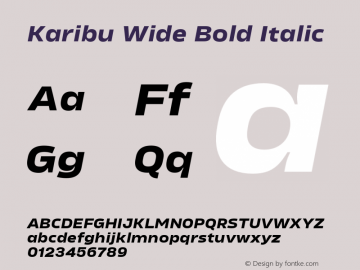 Karibu Wide Bold Italic Version 1.000;PS 001.000;hotconv 1.0.88;makeotf.lib2.5.64775图片样张