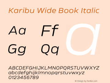 Karibu Wide Book Italic Version 1.000;PS 001.000;hotconv 1.0.88;makeotf.lib2.5.64775图片样张