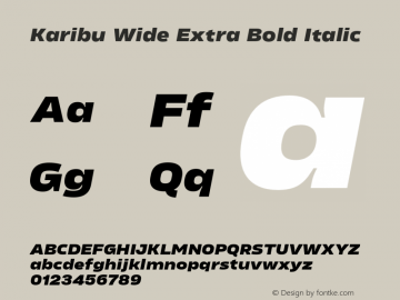 Karibu Wide Extra Bold Italic Version 1.000;PS 001.000;hotconv 1.0.88;makeotf.lib2.5.64775图片样张