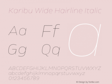 Karibu Wide Hairline Italic Version 1.000;PS 001.000;hotconv 1.0.88;makeotf.lib2.5.64775图片样张