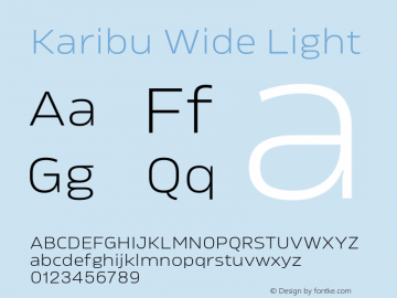 Karibu Wide Light Version 1.000;PS 001.000;hotconv 1.0.88;makeotf.lib2.5.64775图片样张